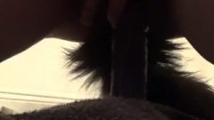 Massive Blonde Has Fun With Tail Bum Plug & Comes All Over The Camera!